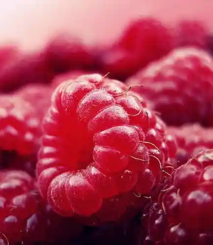 raspberry