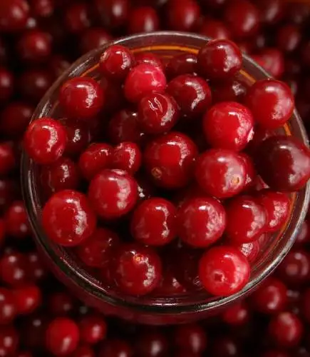 cranberry